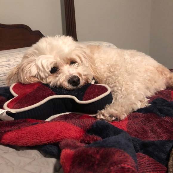 READ THE DETAILS PLEASE! :-) - Picture 8 of 9